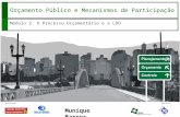 Realização: Parceria: Orçamento Público e Mecanismos de Participação Módulo 2: O Processo Orçamentário e a LDO Munique Barros.