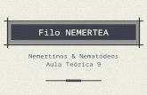 Filo NEMERTEA Nemertinos & Nematódeos Aula Teórica 9.