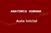 ANATOMIA HUMANA. Anatomia Ciência que estuda a estrutura macroscópica e microscópica do corpo dos seres vivos.