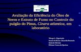 Avaliação da Eficiência do Óleo de Neem e Extrato de Fumo no Controle do pulgão do Pinus, Cinara atlantica, em laboratório Thiago L. Figueiredo Susete.