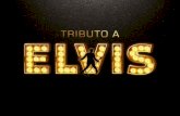 Nos dias atuais, Elvis é considerado como O REI por seus milhões de fãs espalhados por todo o mundo. Alguns especialistas nomeiam Elvis como um dos melhores.
