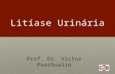 Litíase Urinária Prof. Dr. Victor Paschoalin. Epidemiologia Doença mais frequente no trato urinário Doença mais frequente no trato urinário Há 7.000 anos,