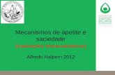 Mecanismos de apetite e saciedade (implicações farmacoterápicas) Alfredo Halpern 2012.