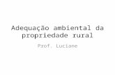 Adequação ambiental da propriedade rural Prof. Luciane.
