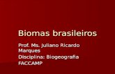 Biomas brasileiros Prof. Ms. Juliano Ricardo Marques Disciplina: Biogeografia FACCAMP.