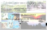 BIOMAS DE ÁGUA DOCE PRINCIPAIS BIOMAS DE ÁGUA DOCE DO BRASIL PROFª LÍGIA MACIEL 7º ANO - CIÊNCIAS.