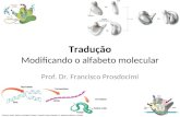 Tradução Modificando o alfabeto molecular Prof. Dr. Francisco Prosdocimi.