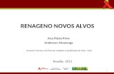 Ana Flávia Pires Anderson Alvarenga Anderson Alvarenga Assessor Técnico da Área de Cuidado e Qualidade de Vida - CQV RENAGENO NOVOS ALVOS Brasília- 2012.