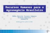 Recursos Humanos para o Agronegócio Brasileiro Paulo Marcelo Tavares Ribeiro Gerente Regional SEBRAE-SP Goiânia, 29 de julho de 2014.