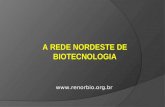 Www.renorbio.org.br A REDE NORDESTE DE BIOTECNOLOGIA.