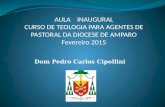 Dom Pedro Carlos Cipollini AULA INAUGURAL CURSO DE TEOLOGIA PARA AGENTES DE PASTORAL DA DIOCESE DE AMPARO Fevereiro 2015.
