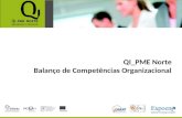 QI_PME Norte Balanço de Competências Organizacional.