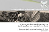Confederação da Agricultura e Pecuária do Brasil Comissão Nacional de Bovinocultura de Corte Agosto/2014 Potencial de investimentos na bovinocultura de.