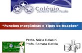 LOGO “Funções Inorgânicas e Tipos de Reações” Profa. Núria Galacini Profa. Samara Garcia