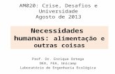 AM020: Crise, Desafios e Universidade Agosto de 2013 Prof. Dr. Enrique Ortega DEA, FEA, Unicamp Laboratório de Engenharia Ecológica Necessidades humanas: