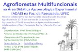 Agroflorestas Multifuncionais na Área Didática Agroecológica Experimental (ADAE) na Faz. da Ressacada, UFSC Coordenador: Prof. Ilyas Siddique Depto. de.