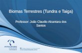 Biomas Terrestres (Tundra e Taiga) Professor: João Claudio Alcantara dos Santos.