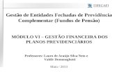 Gestão de Entidades Fechadas de Previdência Complementar (Fundos de Pensão) MÓDULO VI – GESTÃO FINANCEIRA DOS PLANOS PREVIDENCIÁRIOS Professores: Lauro.