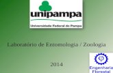 Laboratório de Entomologia / Zoologia 2014. Local: Compreende 2 ambientes: sala de preparo e sala de coleções, com capacidade para 25 alunos.