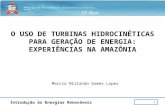 Introdução às Energias Renováveis O USO DE TURBINAS HIDROCINÉTICAS PARA GERAÇÃO DE ENERGIA: EXPERIÊNCIAS NA AMAZÔNIA 1 Marcio Nirlando Gomes Lopes.