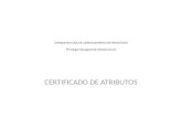 INFRAESTRUTURA DE GERENCIAMENTO DE PRIVILÉGIOS (Privilege Management Infrastructure) CERTIFICADO DE ATRIBUTOS.