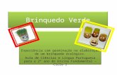 Brinquedo Verde Experiência com germinação na elaboração de um brinquedo ecológico. Aula de Ciências e Língua Portuguesa para o 2º ano do Ensino Fundamental.