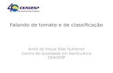 Falando de tomate e de classificação Anita de Souza Dias Gutierrez Centro de Qualidade em Horticultura CEAGESP.