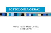 ICTIOLOGIA GERAL Marco Fábio Maia Corrêa CEM/UFPR.