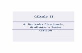 4. Derivadas Direcionais, Gradientes e Pontos Críticos Cálculo II.