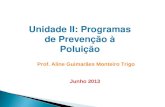 Unidade II: Programas de Prevenção à Poluição Prof. Aline Guimarães Monteiro Trigo Junho 2013.