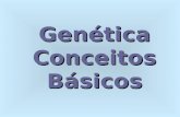 Genética Conceitos Básicos. O que é genética? É o estudo dos genes e de sua transmissão para as gerações futuras. É dividida em: -Genética Clássica