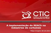 A Implementação do REACh na indústrias de curtumes Filipe Crispim 30-10-2014.