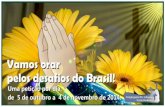MÊS DE CLAMOR PELO BRASIL ORE PELOS DESAFIOS DO BRASIL 05 de Outubro a 04 de Novembro de 2014. Uma ideia: Ore uma petição por dia, começando no dia.