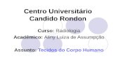Centro Universitário Candido Rondon Curso: Radiologia Acadêmico: Aliny Luiza de Assumpção Assunto: Tecidos do Corpo Humano.