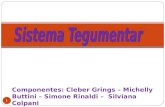 1 Componentes: Cleber Grings – Michelly Buttini – Simone Rinaldi – Silviana Colpani.