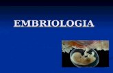 EMBRIOLOGIA. Introdução A embriologia estuda as modificações que ocorrem nos seres vivos desde a formação da célula ovo até a completa formação do embrião.