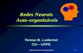 1 Redes Neurais Auto-organizáveis Teresa B. Ludermir Cin - UFPE Redes Neurais Auto-Organizáveis.