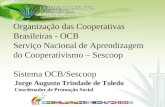 Organização das Cooperativas Brasileiras - OCB Serviço Nacional de Aprendizagem do Cooperativismo – Sescoop Sistema OCB/Sescoop Jorge Augusto Trindade.