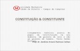1 Prof. Dr. Antônio Ernani Pedroso Calhao Universidade Mackenzie Faculdade de Direito – Campus de Campinas Lineamentos teóricos acerca do papel da Constituição.