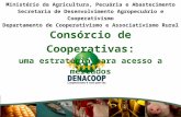 Consórcio de Cooperativas: uma estratégia para acesso a mercados Ministério da Agricultura, Pecuária e Abastecimento Secretaria de Desenvolvimento Agropecuário.