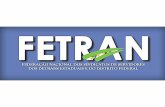 Goiânia, 14 de novembro de 2013 Trabalho da Fetran para o devido reconhecimento dos trabalhadores dos órgãos executivos de trânsito dos Estados e do Distrito.