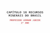 CAPÍTULO 18 RECURSOS MINERAIS DO BRASIL PROFESSOR LEONAM JUNIOR 2º ANO.