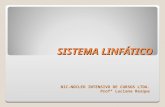 SISTEMA LINFÁTICO NIC-NÚCLEO INTENSIVO DE CURSOS LTDA. Profª Luciana Resque.