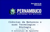 Ciências da Natureza e suas Tecnologias - Biologia Ensino Médio, 2ª Série A estrutura do Aparelho Reprodutor Feminino.