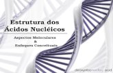 Estrutura dos Ácidos Nucléicos Aspectos Moleculares & Enfoques Conceituais.