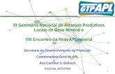 1 XI Seminário Nacional de Arranjos Produtivos Locais de Base Mineral e VIII Encontro da Rede APL mineral Secretaria do Desenvolvimento da Produção Coordenadora-Geral.