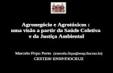 Agronegócio e Agrotóxicos : uma visão a partir da Saúde Coletiva e da Justiça Ambiental Marcelo Firpo Porto (marcelo.firpo@ensp.fiocruz.br) CESTEH/ ENSP/FIOCRUZ.
