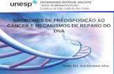 Mutações SÍNDROMES DE PREDISPOSIÇÃO AO CÂNCER E MECANISMOS DE REPARO DO DNA Profa. Dra. Ana Elizabete Silva.