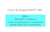 Curso Ecologia/CEFET MG Aula 5: Interações Ecológicas Como as populações se comportam quando estão em comunidades.