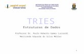 1 TRIES Estruturas de Dados Professor Dr. Paulo Roberto Gomes Luzzardi Mestrando Eduardo da Silva Möller.